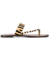 carvela king studded sandals