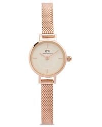 Daniel Wellington - Petite Mini 19Mm - Lyst