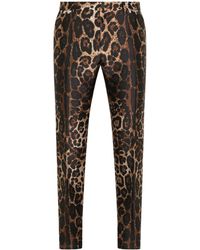 Dolce & Gabbana - Leopard.print Jacquard Trousers - Lyst