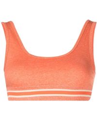 The Upside - Daisy Stripe Trim Bra - Lyst