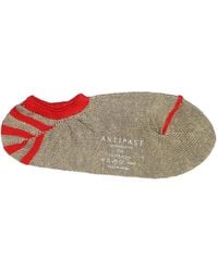 Antipast - Striped Socks - Lyst