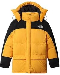 The North Face - Hmlyn Down Parka Jacket - Lyst