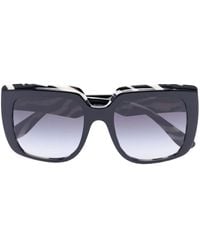 Dolce & Gabbana - Zebra Oversized Square-Frame Sunglasses - Lyst