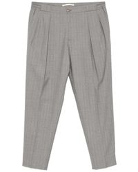 Briglia 1949 - Portobellos Pinstripe Pleated Trousers - Lyst