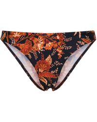 Zimmermann - Junie Floral-print Bikini Bottom - Lyst