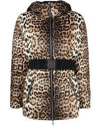 Roberto Cavalli - Leopard-Print Padded Jacket - Lyst