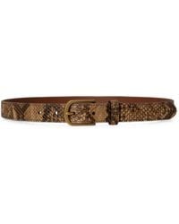 Ralph Lauren - Python-Embossed Leather Belt - Lyst
