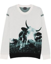 Paul Smith - Maglione Cow Con Effetto Jacquard - Lyst