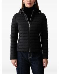 Trussardi - Quilted Hooded Jacket - Lyst