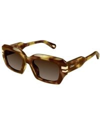 Chloé - Ch0256S 002 - Lyst