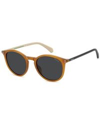 Polaroid - Pld 4206/S/X L7Q(M9) - Lyst