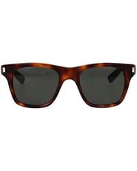 Saint Laurent - Havana-Havana- Acetate Sunglasses - Lyst