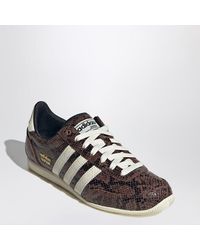 adidas Originals - Sneakers Japan With Snake Print - Lyst