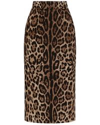 Dolce & Gabbana - Dolce & Gabbana Longuette Skirt With Animal Print - Lyst