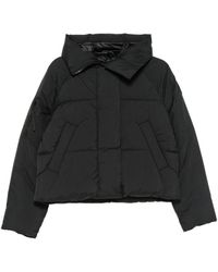 Canada Goose - 'Chilliwack' Bomber Jacket - Lyst