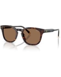 Polo Ralph Lauren - Polo Ph4242U 562573 - Lyst