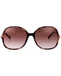 Chloé - Havana-Havana- Acetate Sunglasses - Lyst
