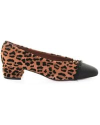 Roberto Festa - Leopard Suede Pumps - Lyst