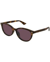 Gucci - Sunglasses Gg1818Sk 002 Havana Havana/17/145 - Lyst