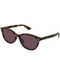 Gucci - Sunglasses Gg1818Sk 002 Havana Havana/17/145 - Lyst