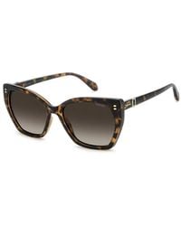 Polaroid - Pld 4198/S/X 086(La) - Lyst