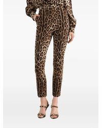 Dolce & Gabbana - Dolce & Gabbana Leopardprint Stretch Wool Canvas Pants - Lyst