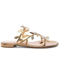 Gianvito Rossi - Flavia Sandals With Flat Sole - Lyst