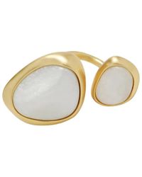 Cult Gaia - Acrylic Resin Ring - Lyst