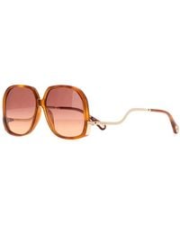 Chloé - Acetate Sunglasses - Lyst
