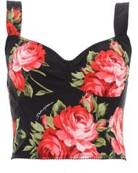Dolce & Gabbana - Dolce & Gabbana Floral Print Bustier Top - Lyst