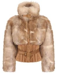 Elisabetta Franchi - Bustier-Style Jacket With A Fur Effect - Lyst