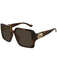 Gucci - Sunglasses Gg1692S 002 Havana Havana/18/135 - Lyst