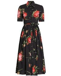 Dolce & Gabbana - Rose Bouquet-Print Poplin Shirt Dress - Lyst