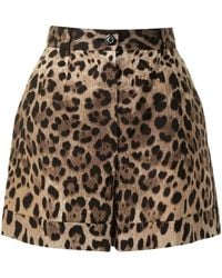 Dolce & Gabbana - Dolce & Gabbana Leopard-Print Poplin Shorts - Lyst