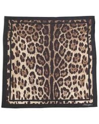 Dolce & Gabbana - Dolce & Gabbana Dolce & Gabbana 50X50Cm Leopard-Print Silk Twill Scarf Featuring A Bold Animal Print And Classic Logo - Lyst