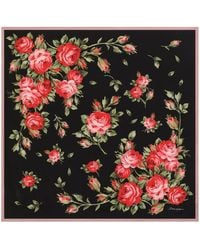 Dolce & Gabbana - Dolce & Gabbana Floral-Print Scarf - Lyst