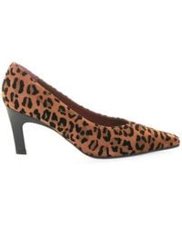 Roberto Festa - Leopard Suede Pumps - Lyst