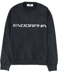 MSGM - Cotton Sweatshirt - Lyst