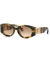 Roberto Cavalli - Havana Vintage Acetate And Metal Sunglasses - Lyst