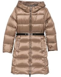 Max Mara - 72 Polyester Outerwear - Lyst
