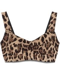 Dolce & Gabbana - Dolce & Gabbana Leopard-Print Bustier Top - Lyst
