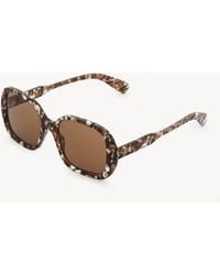 Chloé - Gayia Havana Crystal Sunglasses - Lyst