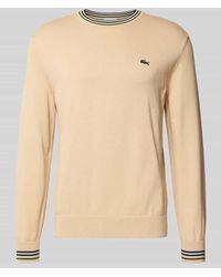 Lacoste - Regular Fit Strickpullover aus reiner Baumwolle - Lyst
