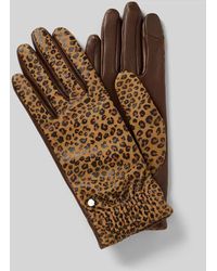 Roeckl Sports - Regular Fit Handschuhe aus echtem Leder Modell 'Serengeti' - Lyst