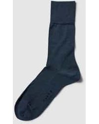 FALKE - Sokken - Lyst