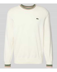 Lacoste - Regular Fit Strickpullover aus reiner Baumwolle - Lyst
