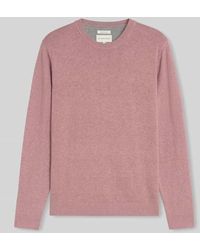 Tom Tailor - Regular Fit Pullover aus reiner Baumwolle - Lyst