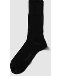 FALKE - Sokken - Lyst