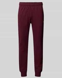 Champion - Sweatbroek Met Elastische Band - Lyst