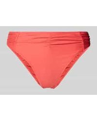 Barts - Bikini Broekjes - Lyst